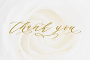 Authumn Sofia | Calligraphy Font, a Script Font by Analogous (Thumbnail 15 of 16)
