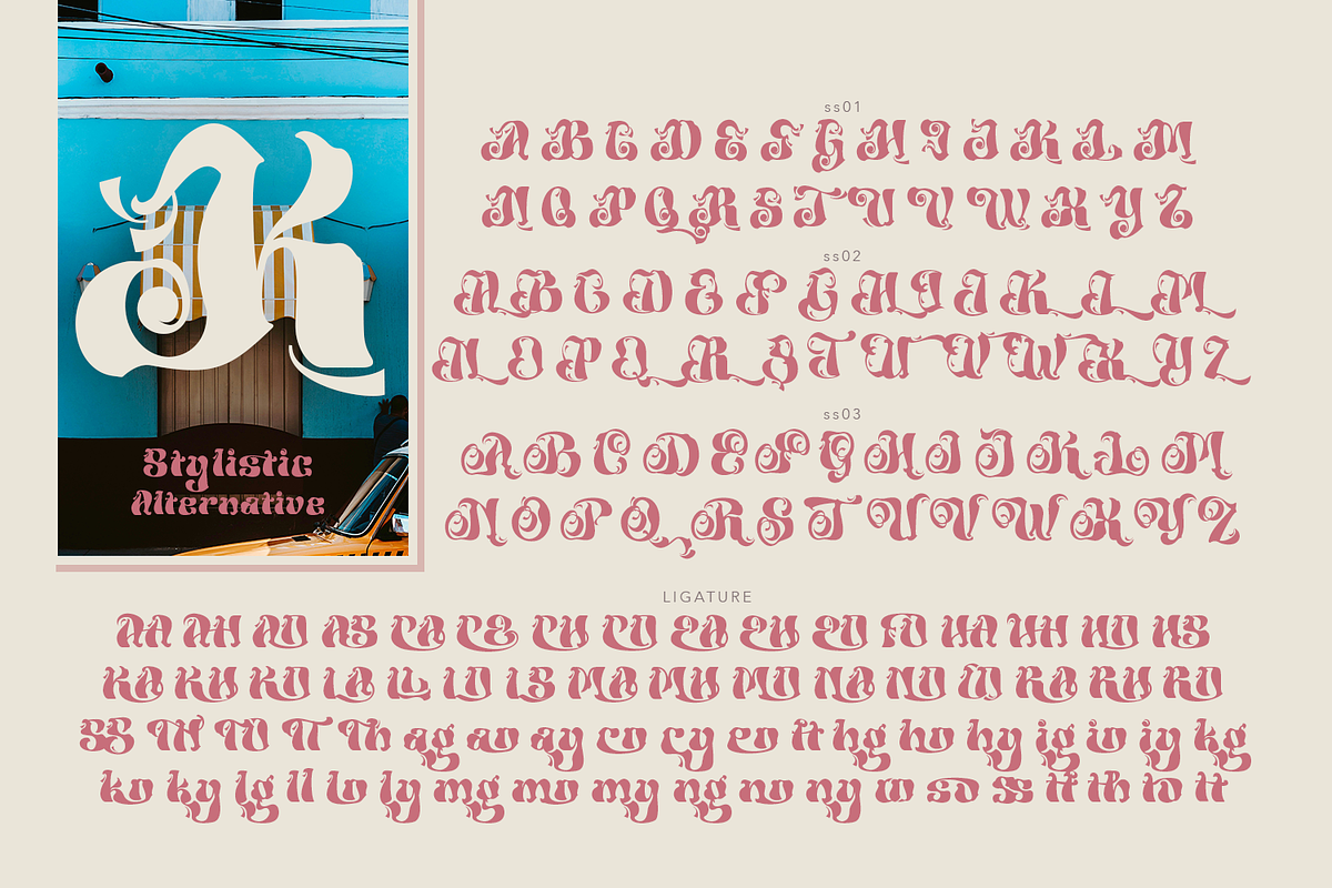 Aslangie - Vintage Font, a Symbol Font by TypeClassHeroes (Photo 9 of 10)