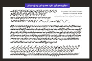 Florisse Dream Modern Calligraphy, a Script Font by stylishtype.co (Thumbnail 10 of 10)