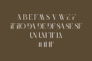 DEVITO - Modern Ligature Serif Font, a Serif Font by AnnofaType (Thumbnail 7 of 8)