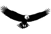 50 Flying Eagle Silhouette Vector Bu, an Illustration by Designs_River (Thumbnail 24 of 51)