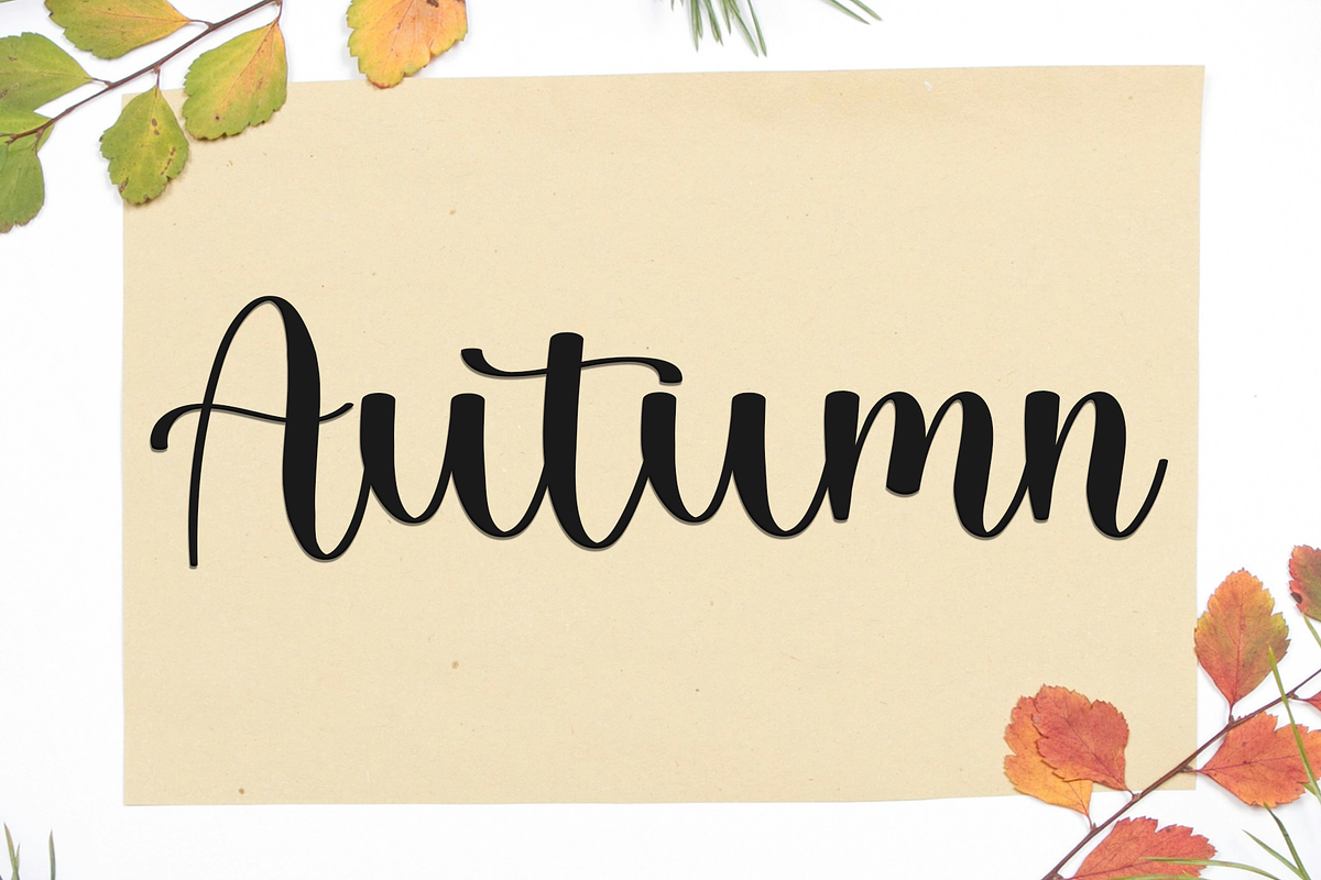 Woman Delightful, a Handwritten Font by InermediaSTUDIO (Photo 4 of 9)