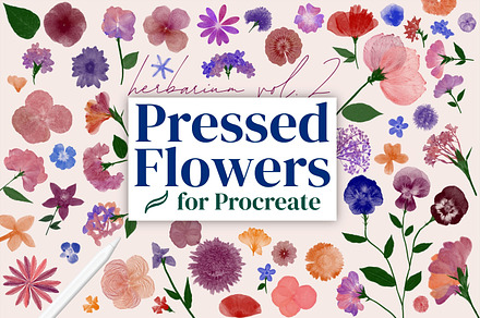 Pressed Flower Brushes for Procreate, a Brush Add-On by AJ Brushes