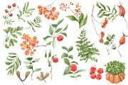 Rabbits are harvesting, an Animal Illustration by Love Watercolor Store (Thumbnail 7 of 9)