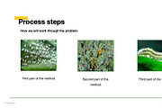 Colorful Template For Any Use, a Templates & Theme by Iconography - Pitch Deck (Thumbnail 16 of 36)