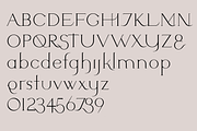 Cashmere. Beautiful new serif font, a Serif Font by LostandFoundry (Thumbnail 4 of 6)