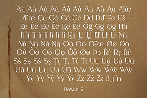 Rowan Typeface - 116 Styles & Script