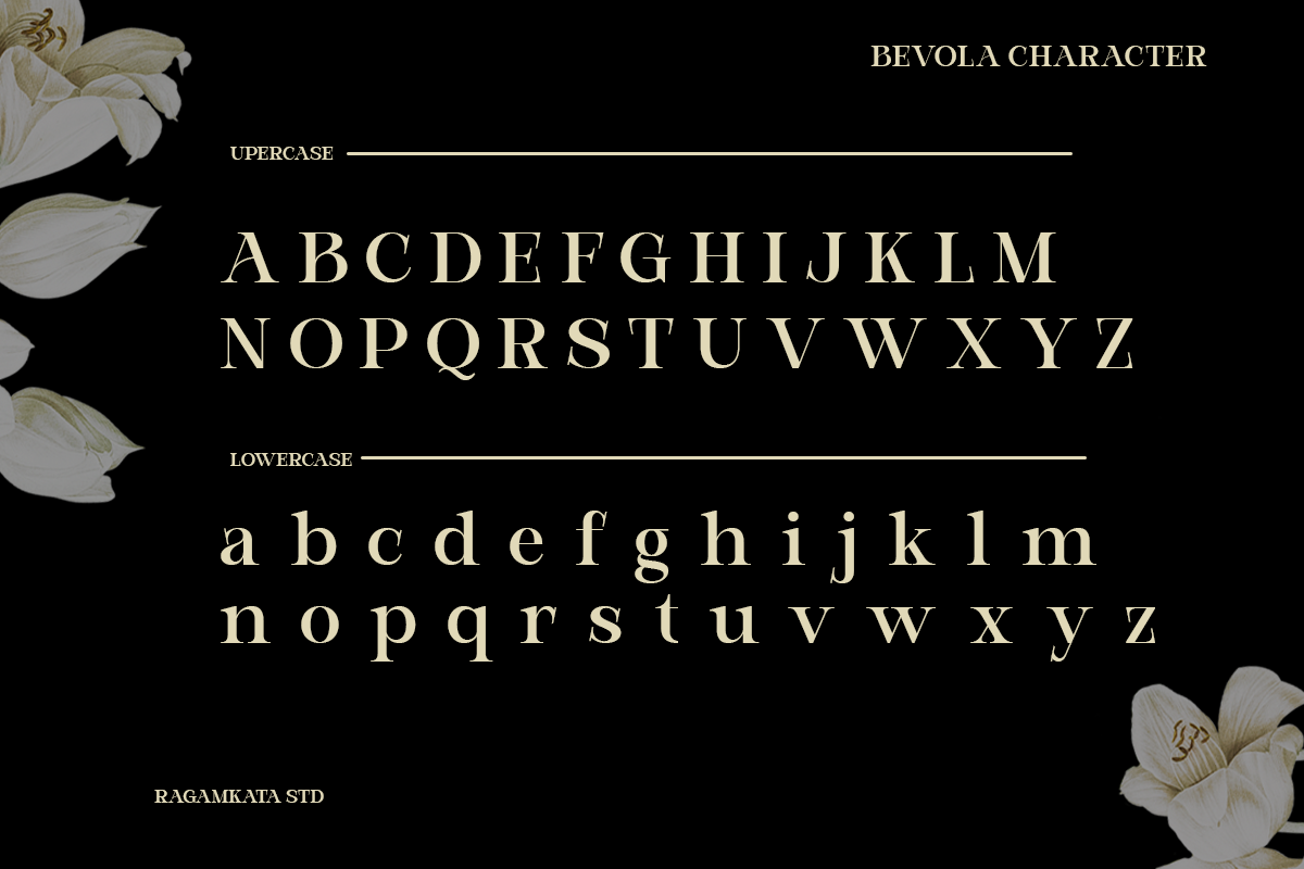 Modern Elegant Serif - Bevola, a Serif Font by RagamKata (Photo 8 of 10)