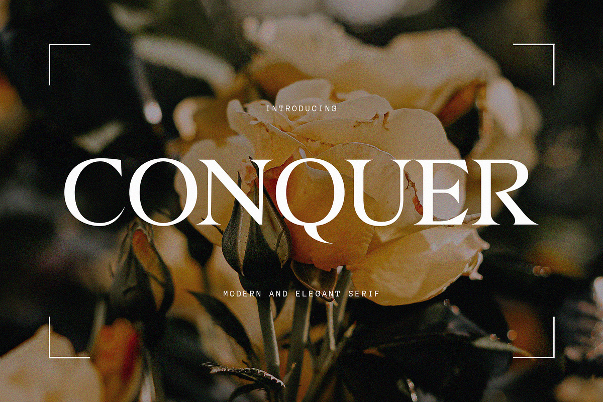Fantastic Font Bundle, a Serif Font by Font Kingdom (Photo 15 of 24)