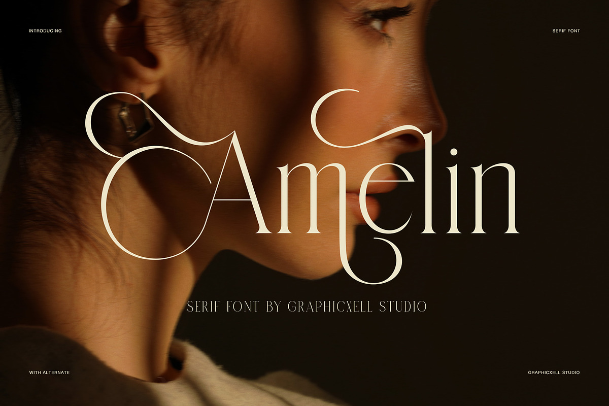 Amelin Elegant Serif Font, a Serif Font by Graphicxell (Photo 1 of 8)