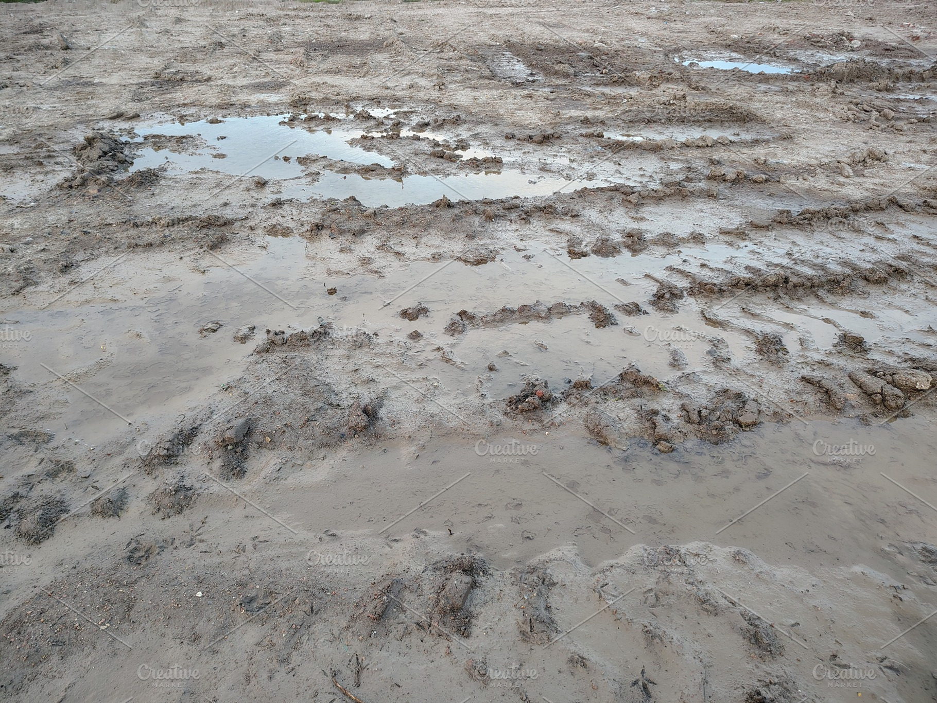 Muddy ground with water puddles and tracks, a Nature Photo by DanFLCreativo