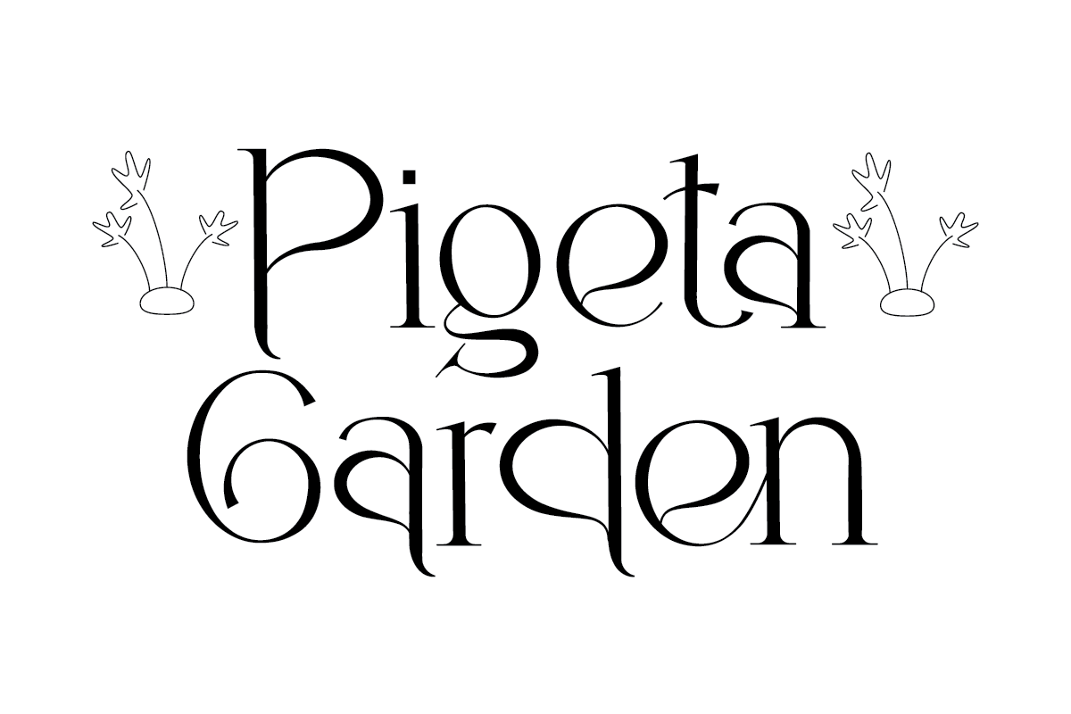 Benaya, a Serif Font by Muksal Creative (Photo 2 of 8)