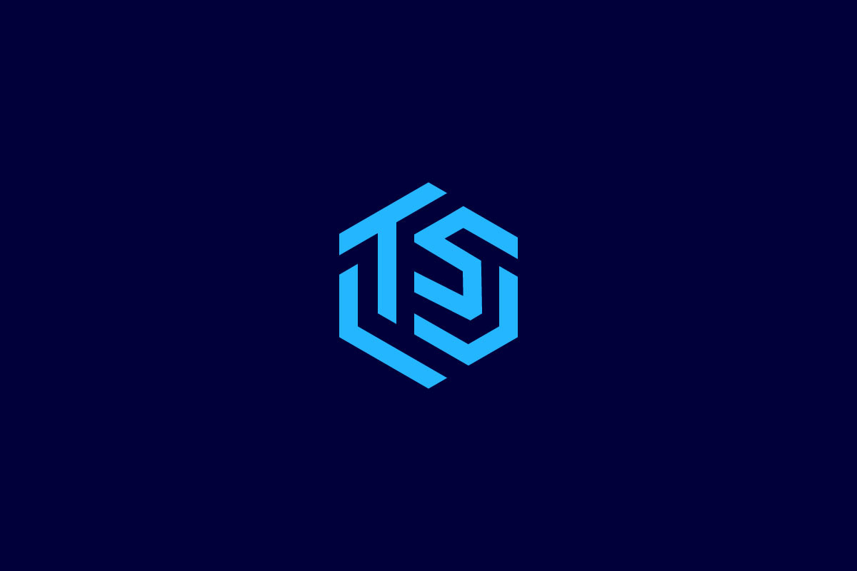 TS Monogram Logo - Modern & Geometric preview 8