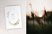 Magic Flowers - watercolor collectio, an Object Graphic by Julia M. Watercolor (Thumbnail 4 of 14)