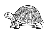 Turtle Line Art Illustration Bundle, an Illustration by Creativeshirt (Thumbnail 20 of 48)