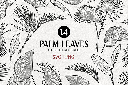 Palm Leaves Vector Line Art Set, an Illustration by MadliArt