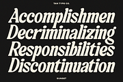 TAN-SUNSET, a Serif Font by TanType (Thumbnail 6 of 11)