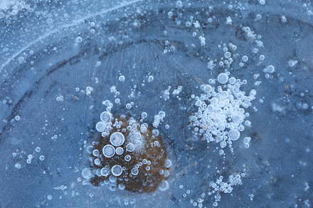 Ice detail, bubbles and leaf frozen, an Abstract Photo by PhotoNature