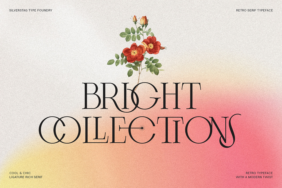 Frosty Garden - Elegant Retro Serif, a Serif Font by SilverStag Type Foundry (Photo 18 of 19)