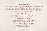 Qiyu Lust of Perfection, a Script Font by Forberas Club (Thumbnail 7 of 7)