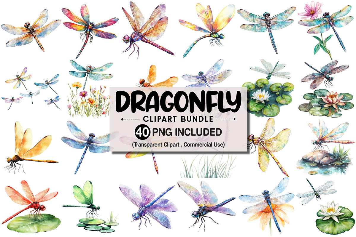 Watercolor Dragonfly Clipart, an Illustration by Pixels.Craft (Photo 1 of 5)