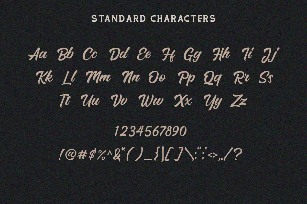 Hadrey - Vintage Bold Script, a Sans Serif Font by Vultype Co. (Photo 11 of 12)