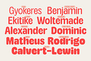 TNSC Aiger -  Rounded Sans, a Sans Serif Font by The Native Saint Club (Thumbnail 9 of 14)