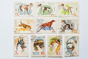 Collection of postage stamps stock photo containing stamp and collection, an Arts & Entertainment Photo by AS photostudio