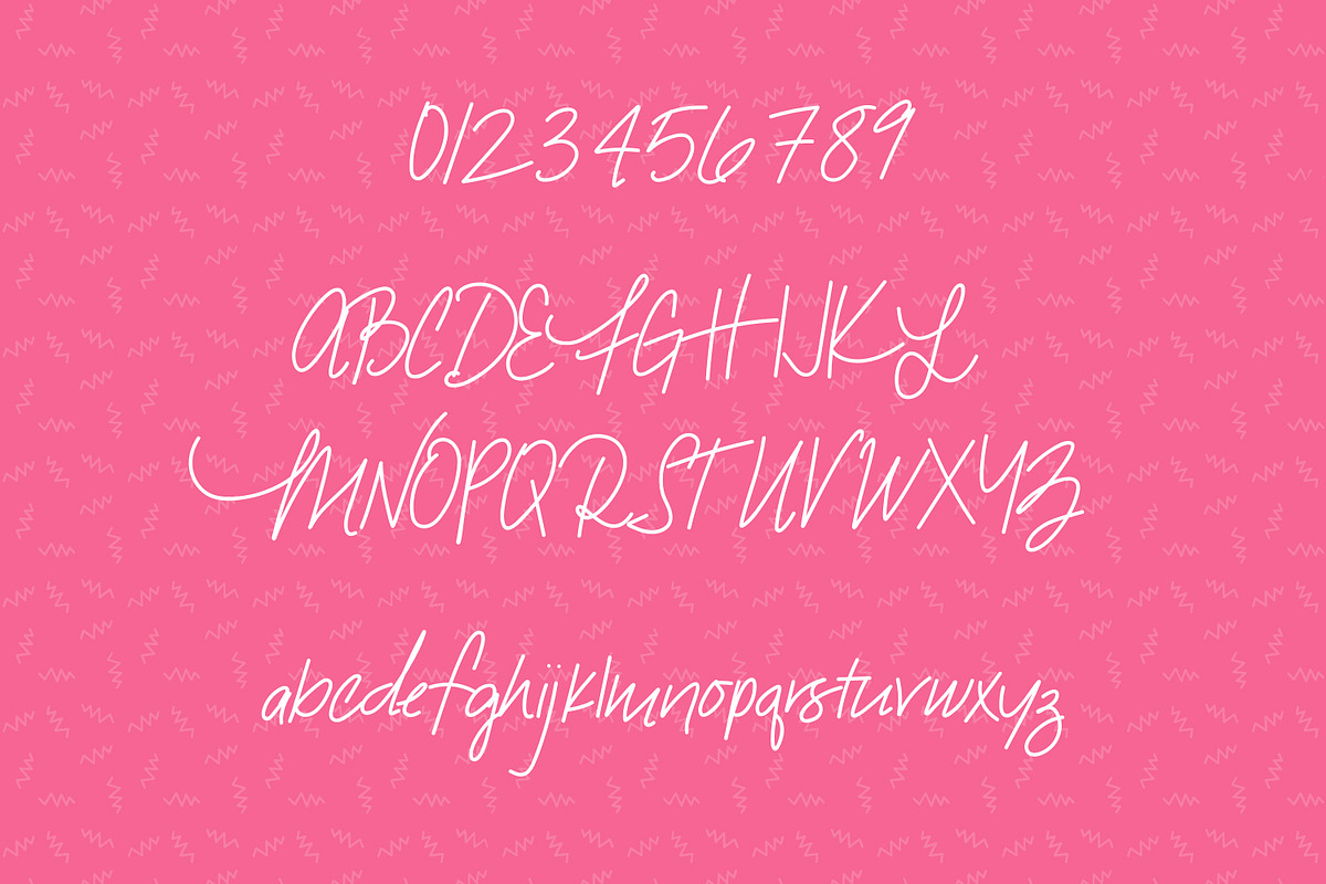 Snarky Flamingo, a Handwritten Font by Kitaleigh (Photo 2 of 4)
