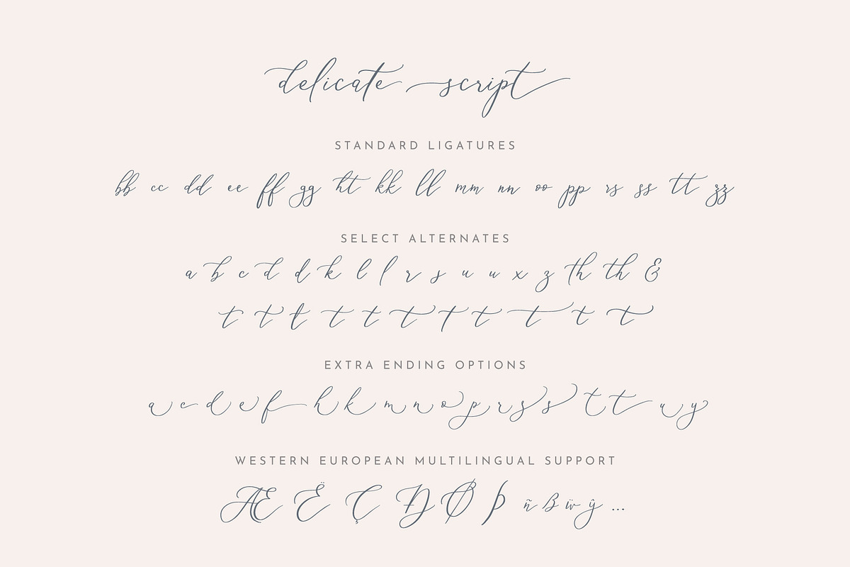 Delicate Elegant Script & Ornaments, a Script Font by Mila Garret (Photo 10 of 11)
