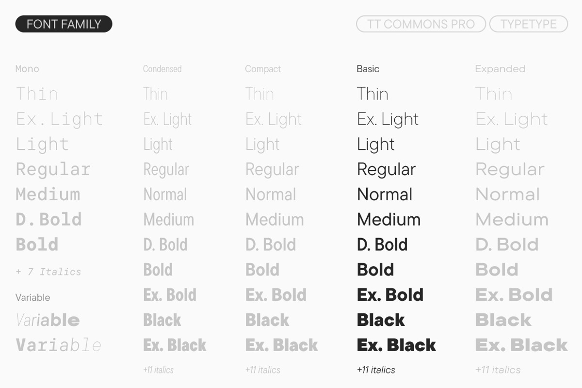 TT Commons Pro Basic, a Sans Serif Font by TypeType (Photo 4 of 15)