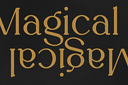 Rowan typeface - 116 styles & script, a Serif Font by VP Fonts (Thumbnail 15 of 18)