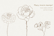 The Procreate Botanical Box, a Brush Add-On by Just Bia (Thumbnail 14 of 15)