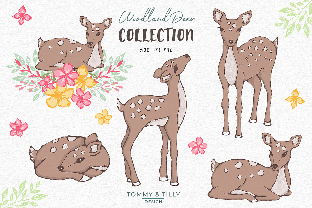 Woodland Deer Clipart, an Animal Illustration by Tommy & Tilly Design (Photo 2 of 6)