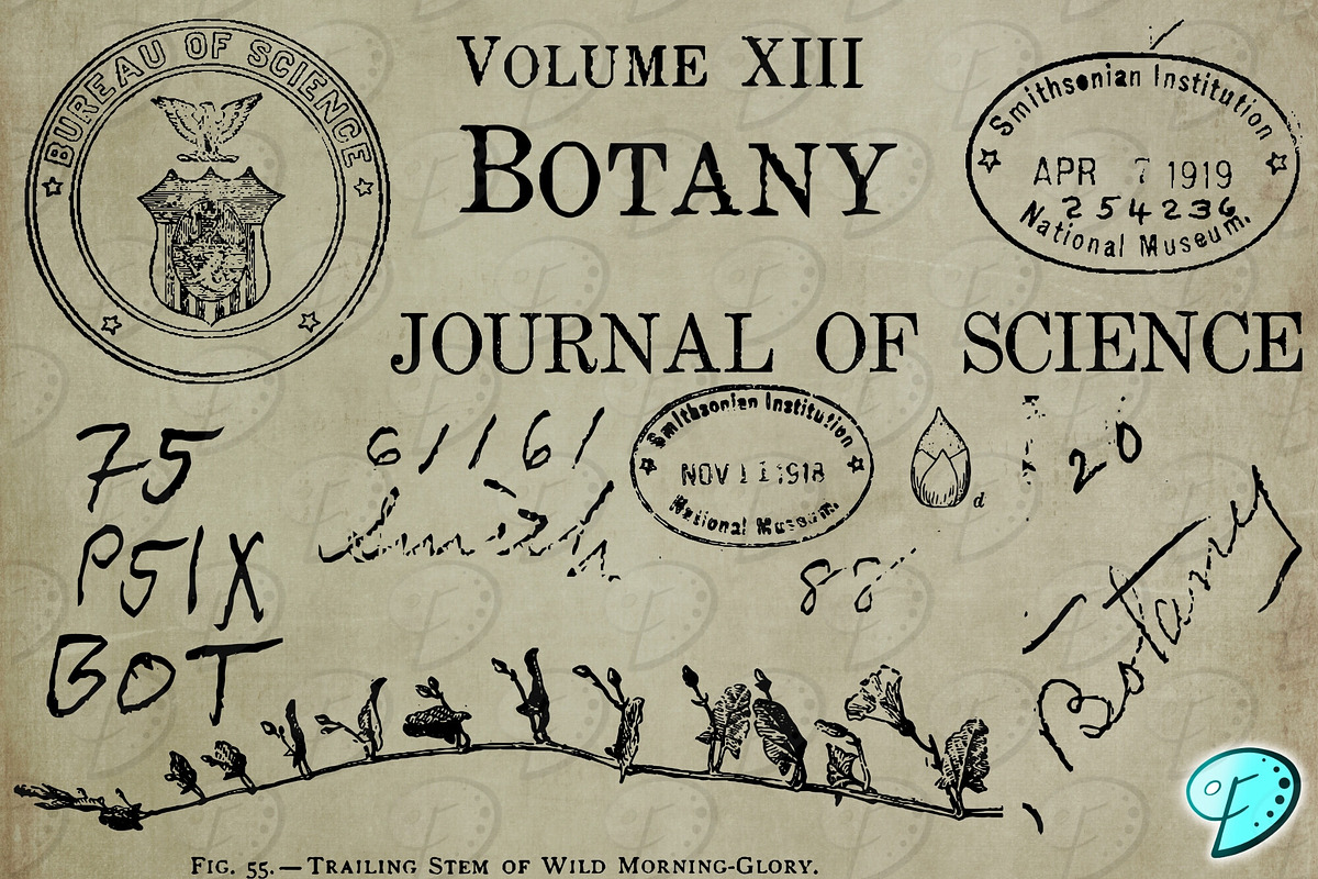 Botany Book Digi Stamps PNGs, an Object Graphic by Emily Designs (Photo 4 of 5)
