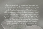 Hedge Rose Decorative Floral Script, a Script Font by AnMark (Thumbnail 3 of 10)