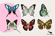 HAND-DRAWN BUTTERFLY COLLECTION, an Object Graphic by Lazy Cat (Thumbnail 5 of 5)