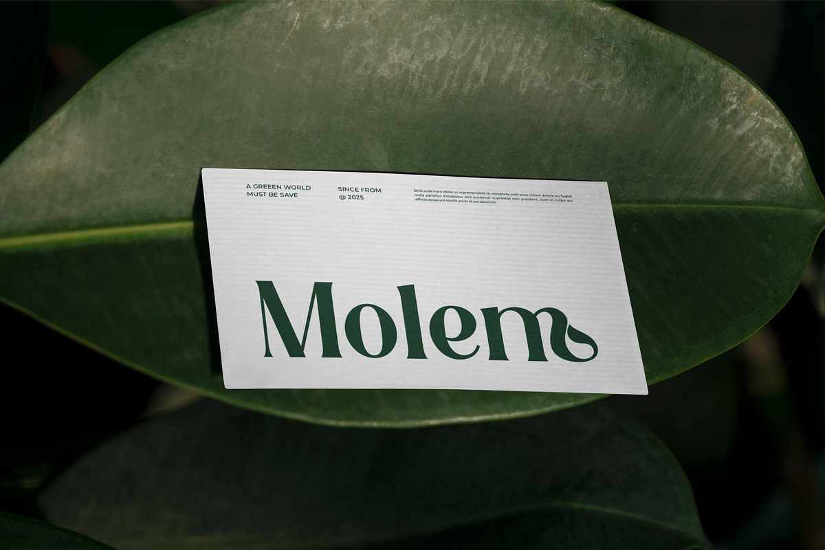Resien || Modern Classy Serif Font, a Serif Font by Ermedia Studio (Photo 3 of 10)