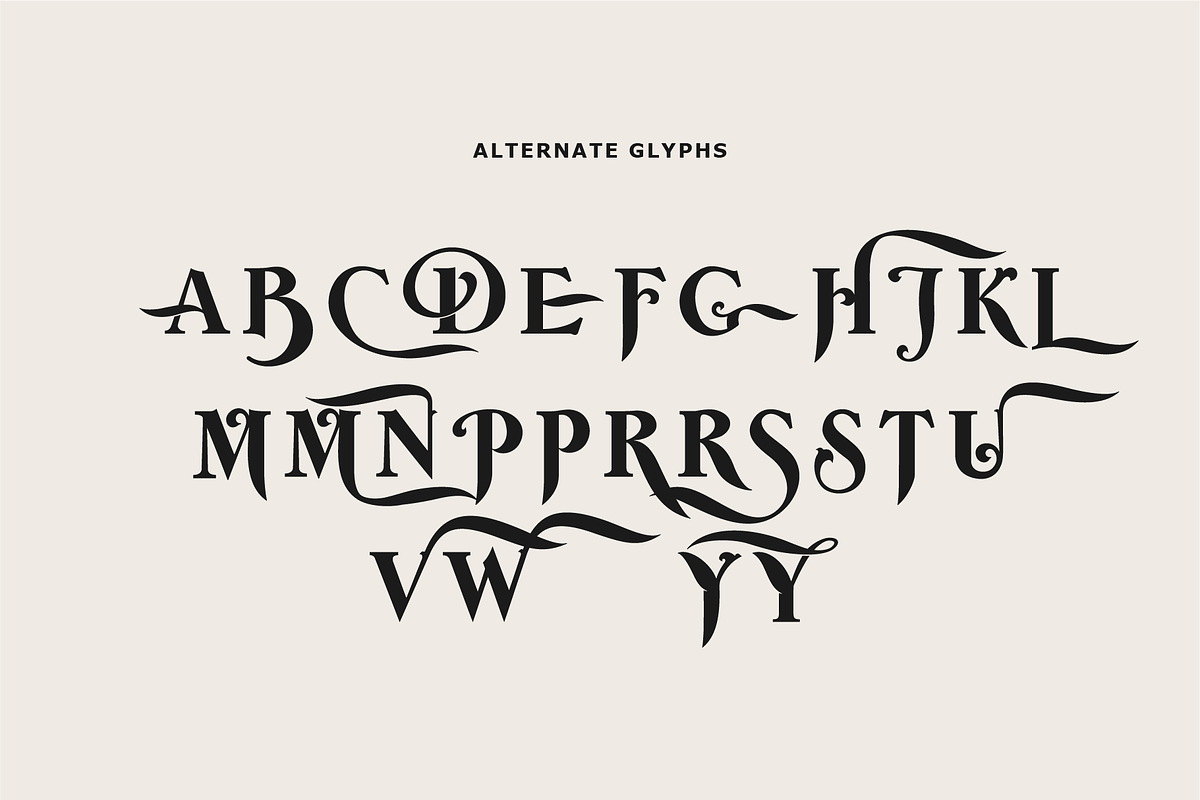 Wolff Swash - Bold Serif Font, a Serif Font by Wolff Design Co. (Photo 4 of 8)