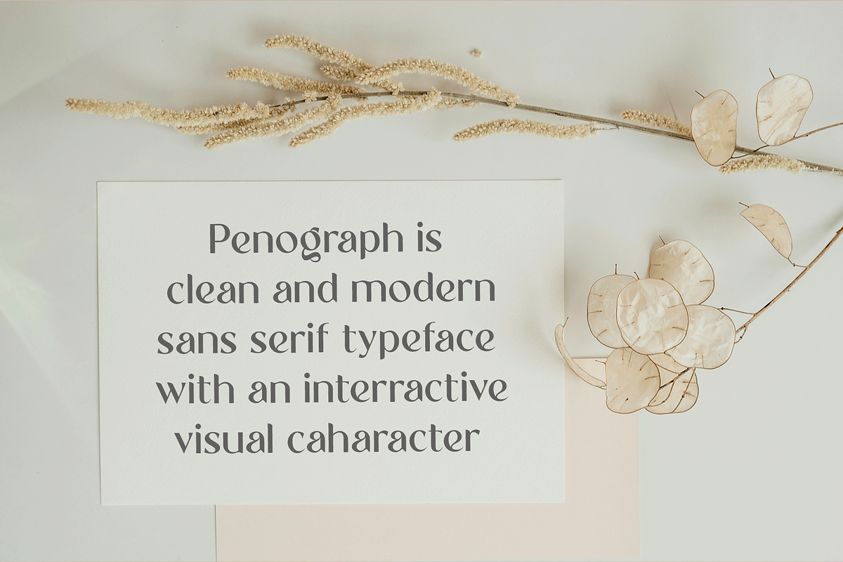 Penograph Elegant Typeface, a Sans Serif Font by Moodtype (Photo 4 of 7)