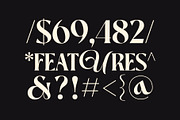 Haerins Glamor, a Serif Font by INKSUN™ (Thumbnail 7 of 9)