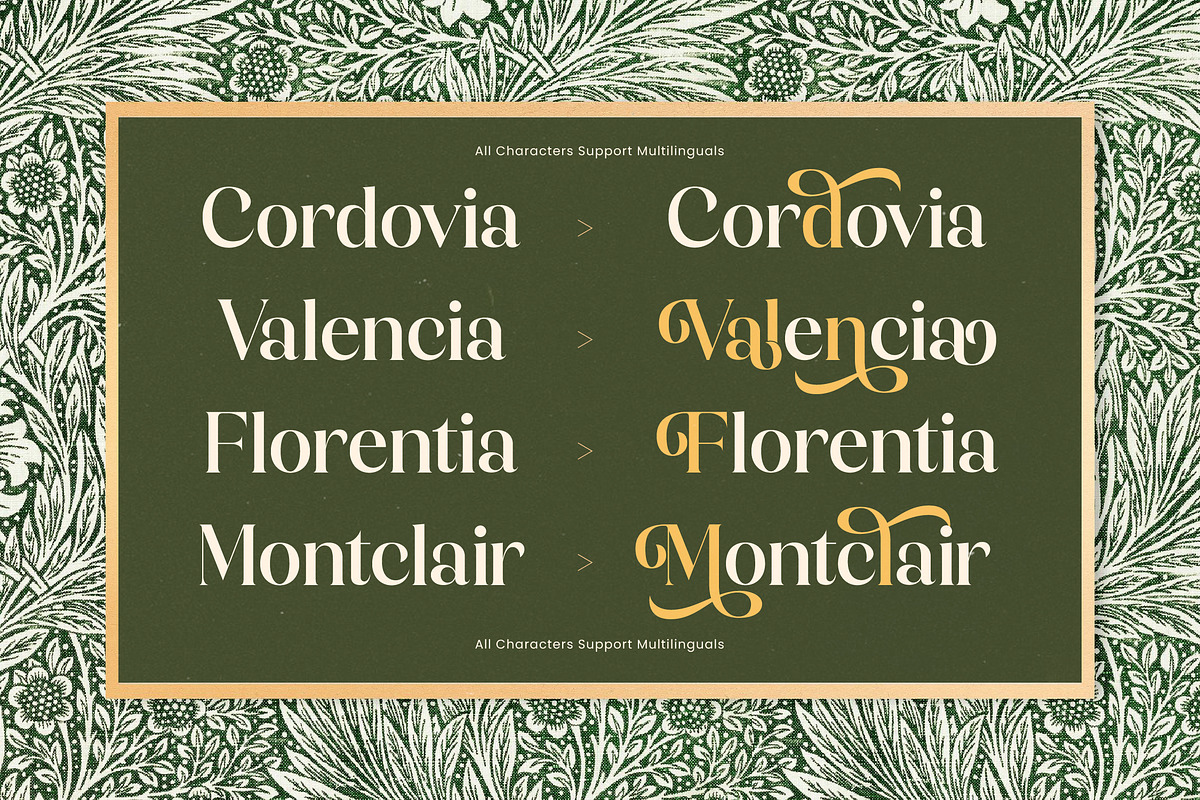 Magical Qardin Decorative Serif, a Serif Font by timelesstype.co (Photo 8 of 20)