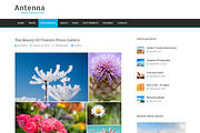 Antenna Magazine Theme, a WordPress Template by DesignOrbital (Thumbnail 3 of 5)