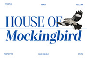 Evoritha, a Serif Font by Propertype (Thumbnail 5 of 16)
