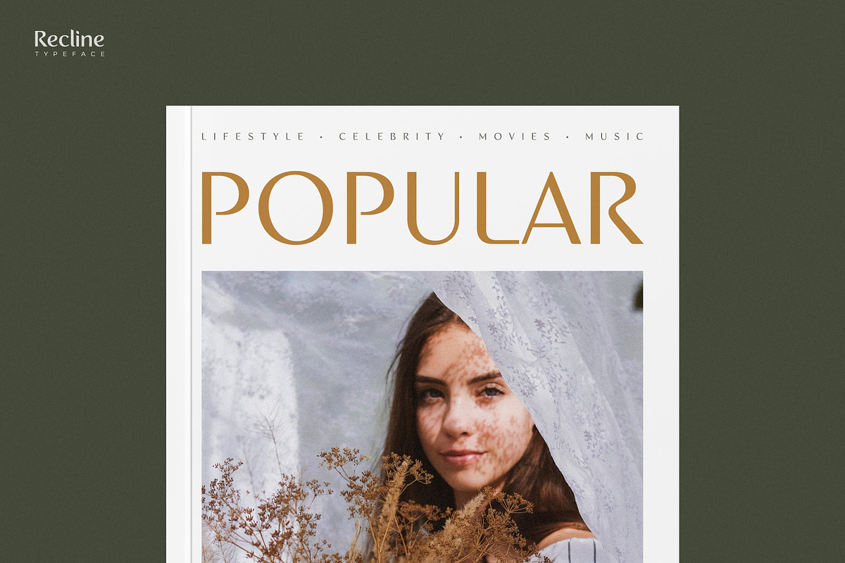 Recline, a Sans Serif Font by Digitype Studio (Photo 7 of 10)