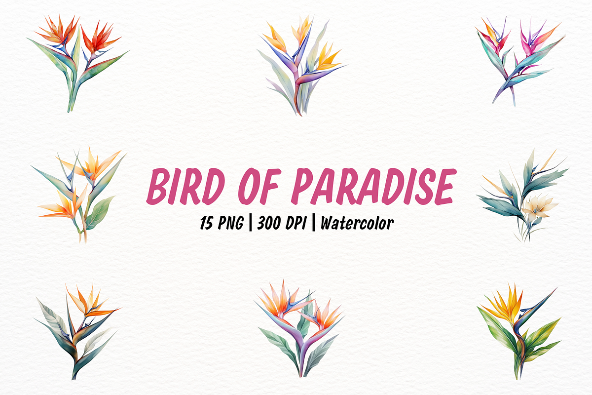 Exotic Watercolor Bird of Paradise, a Decorative Illustration by New-School-Wave (Photo 1 of 5)