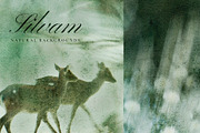 Silvam - Natural Backgrounds, a Background Graphic by Watercolor_Ma (Thumbnail 6 of 9)