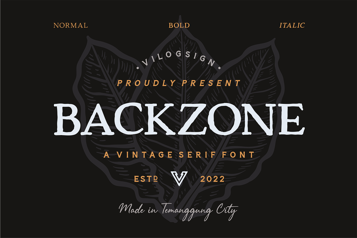 Backzone a Vintage Rustic Serif Font, a Serif Font by Vilogsign (Photo 1 of 11)