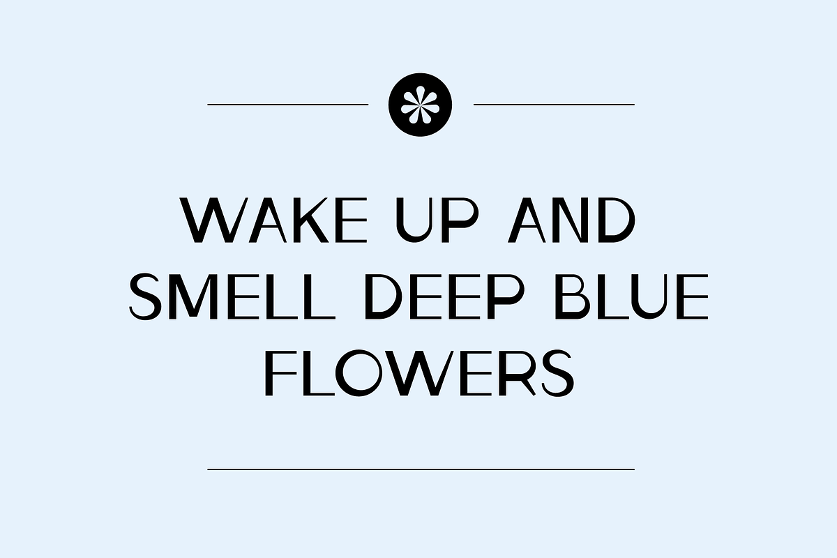 Ludeco Uppercase Modern Display Font, a Sans Serif Font by Wild Ones (Photo 8 of 8)