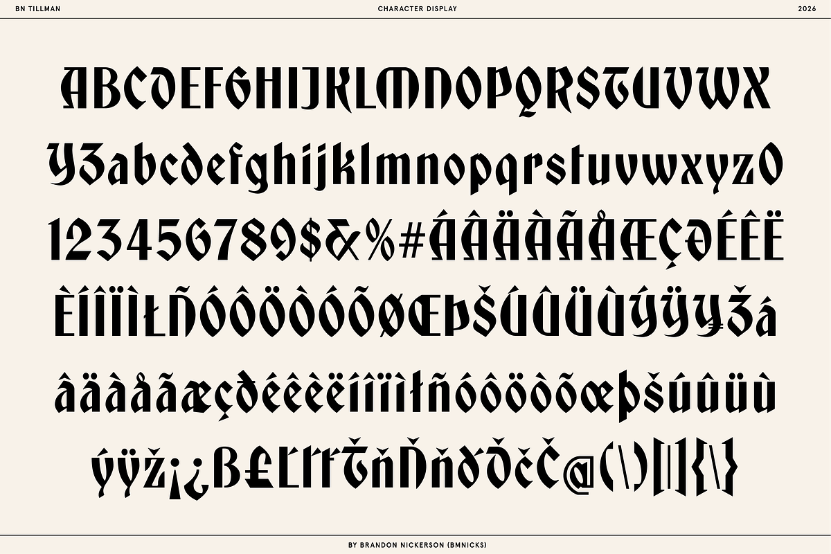 BN Tillman Gothic Display Typeface, a Serif Font by Bnick (Photo 12 of 12)